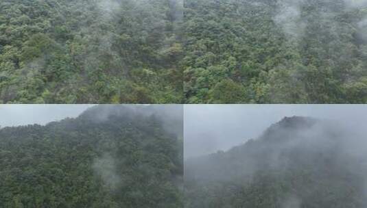 烟雨云雾缥缈的大山高清在线视频素材下载