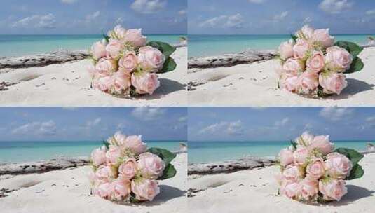滩上的玫瑰花高清在线视频素材下载