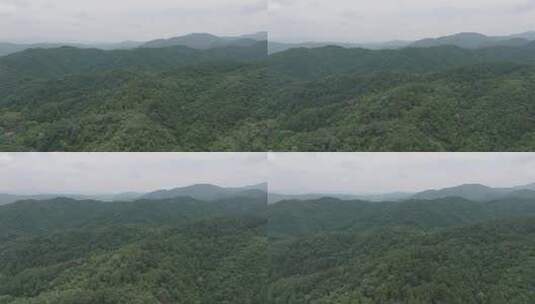 Z 航拍 绿树青山 森林 山脉高清在线视频素材下载