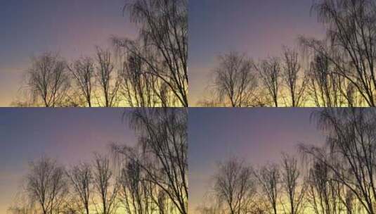 公园里彩色柔和的粉色黄色冬季日落背景，无高清在线视频素材下载