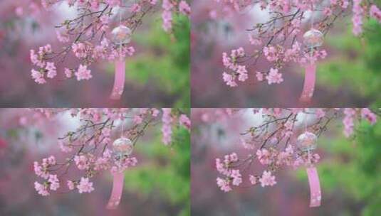 春日唯美小清新日系粉色樱花风铃空镜高清在线视频素材下载