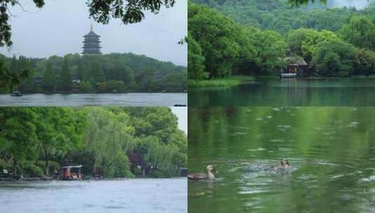 雨中西湖浴鹄湾雷峰塔长桥江南中国风合集高清在线视频素材下载