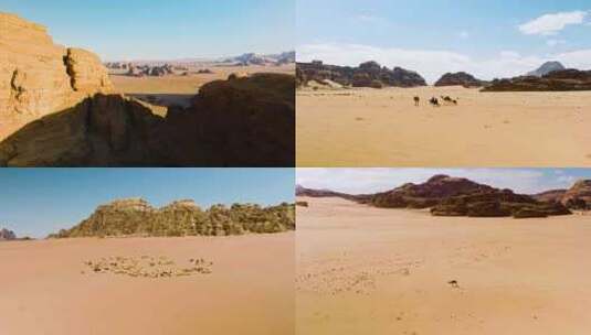 新疆沙漠骆驼高清在线视频素材下载