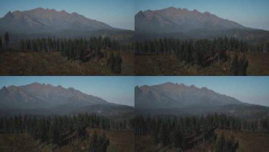 前景中有树木的山脉景观高清在线视频素材下载