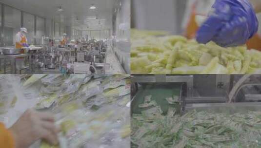食品加工 食品生产 食品车间 自动化生产线高清在线视频素材下载