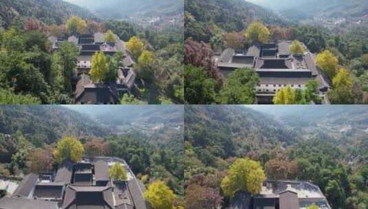 航拍深秋南岳衡山风景区福严寺千年银杏高清在线视频素材下载