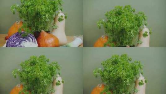 有机蔬菜静态展示美食宣传片素材高清在线视频素材下载
