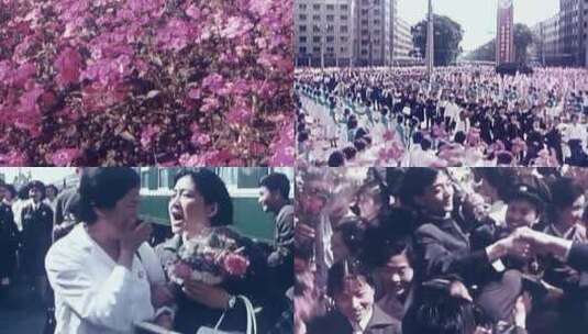 1983年中国新闻代表团访问朝鲜纪念中朝友谊高清在线视频素材下载