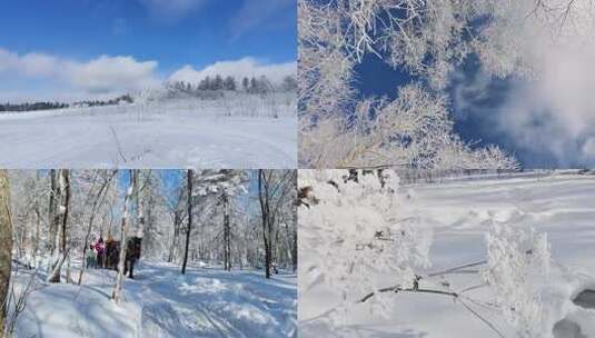 东北雾凇 雪岭山间飘雪 马拉车高清在线视频素材下载