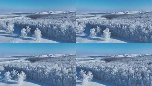 苍茫雪原上银装素裹白桦林高清在线视频素材下载