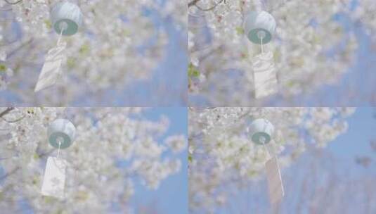 风铃 樱花风铃   小清新空镜 唯美春天意境高清在线视频素材下载