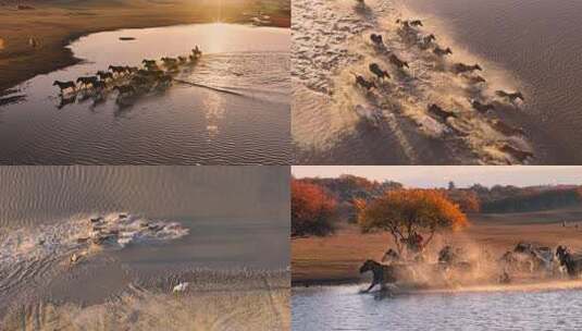 坝上万马奔腾踏水而过高清在线视频素材下载