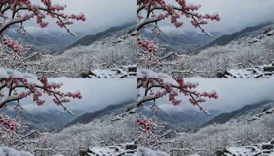 冬天雪花覆盖的山区景色高清在线视频素材下载