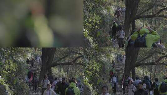 秋日古道登山，游客多高清在线视频素材下载