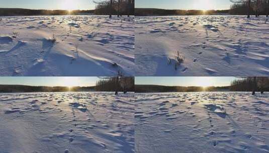 冬天阿尔山日出雪景寒冷雪花特写微缩景观高清在线视频素材下载