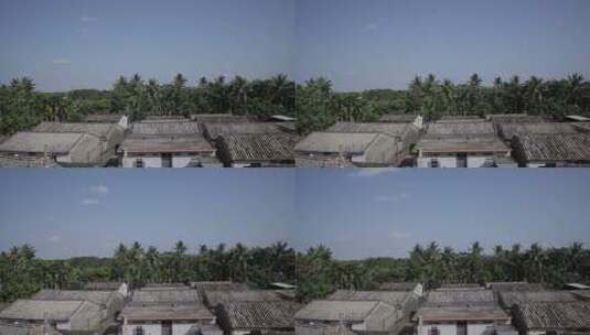 热带村落延时南方村庄民居椰树蓝天01高清在线视频素材下载