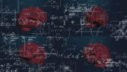 医学 大脑 脑科学 三维 脑ct1 模型高清在线视频素材下载