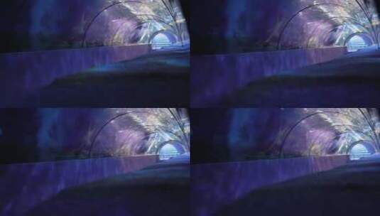 景点海洋馆的海底隧道高清在线视频素材下载