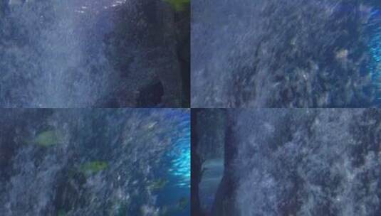 【镜头合集】海底气泡水下世界海洋神秘高清在线视频素材下载