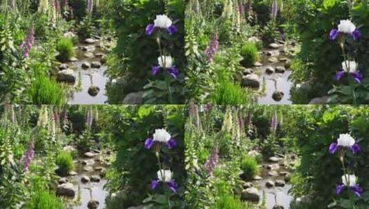 花园花房春天鲜花盛开高清在线视频素材下载