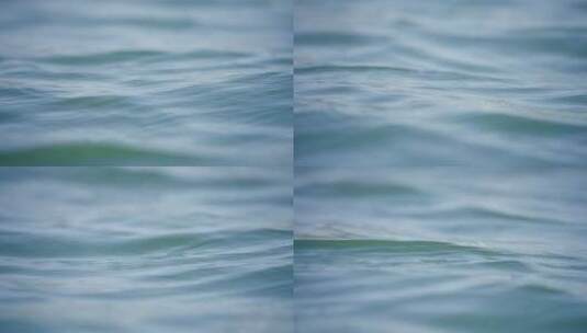 大海水波纹生态公园唯美转场高清在线视频素材下载