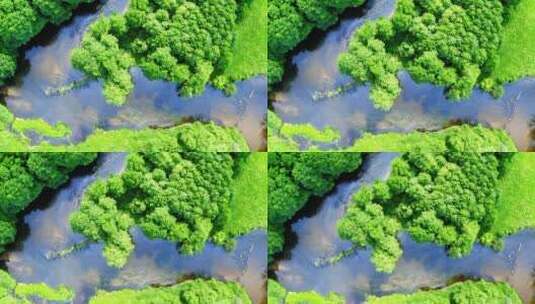 航拍夏季绿色森林和河流景观高清在线视频素材下载
