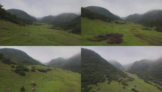 超美的空幽的山谷美景高清在线视频素材下载