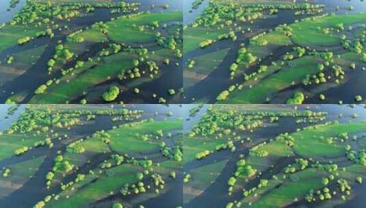 航拍内蒙亚洲第一湿地：根河湿地高清在线视频素材下载