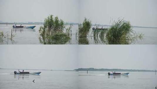 4k太湖景色渔船渔民忙碌高清在线视频素材下载