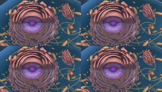 生物医学微观细胞动画高清在线视频素材下载
