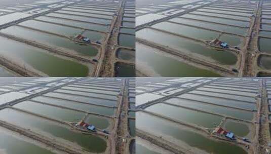 水产养殖场虾苗场高清在线视频素材下载