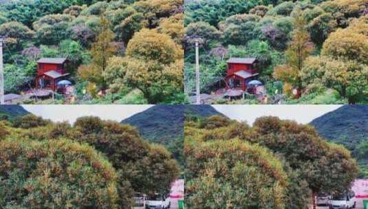 治愈风景，一定能解压，旅行，治愈系风景高清在线视频素材下载