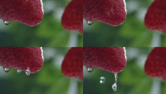 草莓上滴落的水滴高清在线视频素材下载
