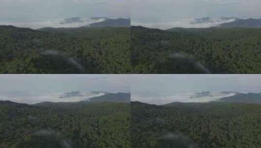 树木覆盖的山脉高清在线视频素材下载