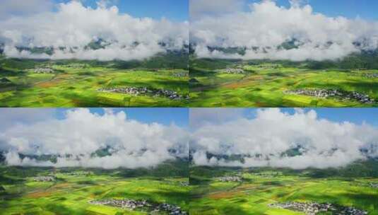 雨后云雾缭绕 唯美阳光 绿色稻田高清在线视频素材下载