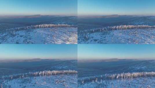 航拍大兴安岭黎明林海雪原高清在线视频素材下载