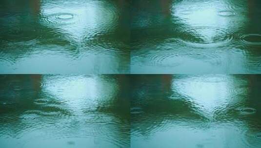 雨滴水面涟漪-初春的小雨高清在线视频素材下载
