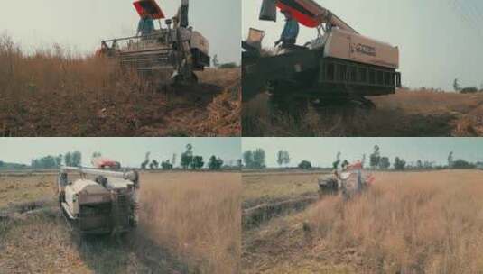 农业现代化机械收割机收割庄家近景高清在线视频素材下载