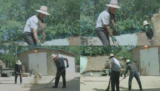 农村老人用老手艺碾场、打谷物高清在线视频素材下载