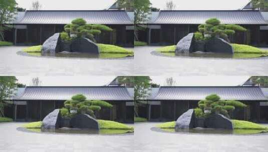 现代新中式传统建筑门口的景观树和水景高清在线视频素材下载