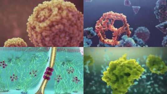 三维细胞分子结构微生物微观模型动画病毒高清在线视频素材下载