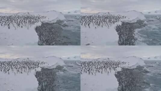 游泳后的企鹅群。南极洲飞行高清在线视频素材下载