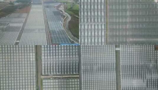 现代农业大棚种植基地航拍高清在线视频素材下载