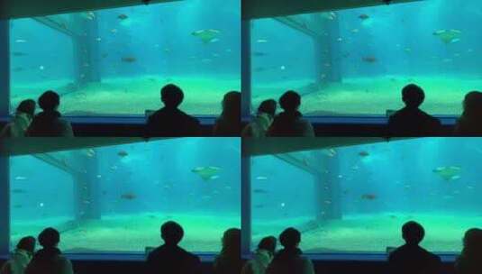 在水族馆看鱼的人高清在线视频素材下载