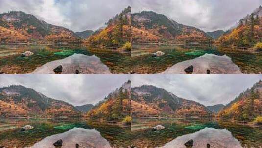 九寨黄龙风景区-九寨沟-秋季五花海彩林高清在线视频素材下载