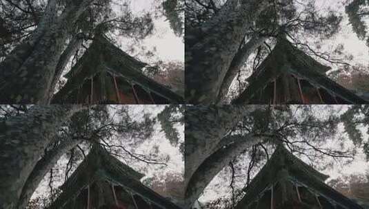 戒台寺的秋天高清在线视频素材下载