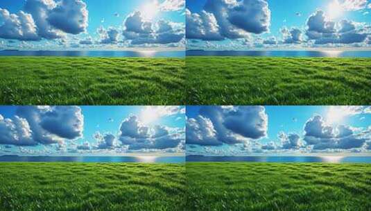 草原大海蓝天自然风光高清在线视频素材下载