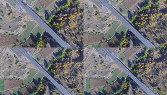 公路两边树木秋景高清在线视频素材下载