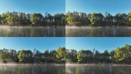 晨雾迷漫的秋季清澈森林河高清在线视频素材下载