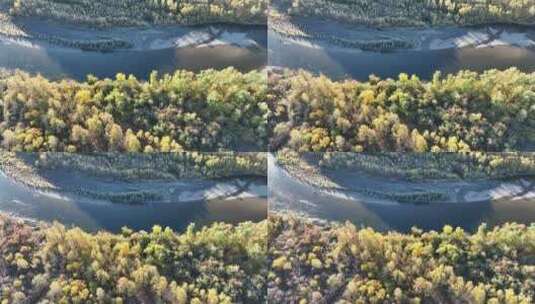 航拍秋季林海河流风光高清在线视频素材下载